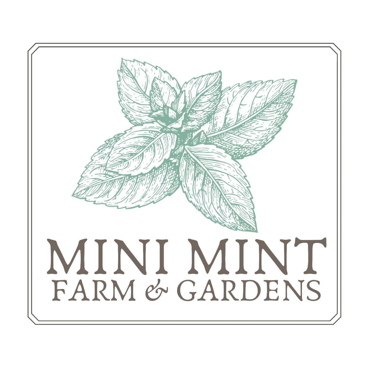 Mini Mint Farm photo 4